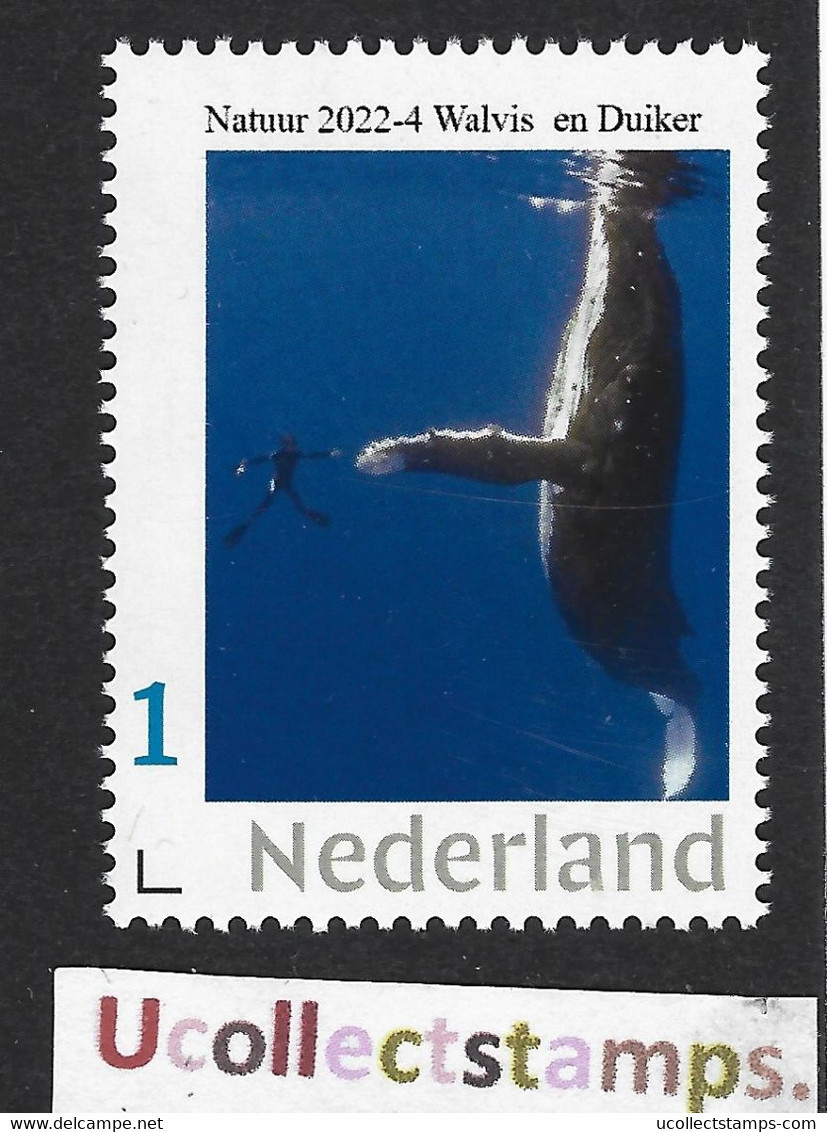 Nederland  2022-4  Natuur Nature  Walvis-duiker  Whale-diver    Postfris/mnh/neuf - Ungebraucht