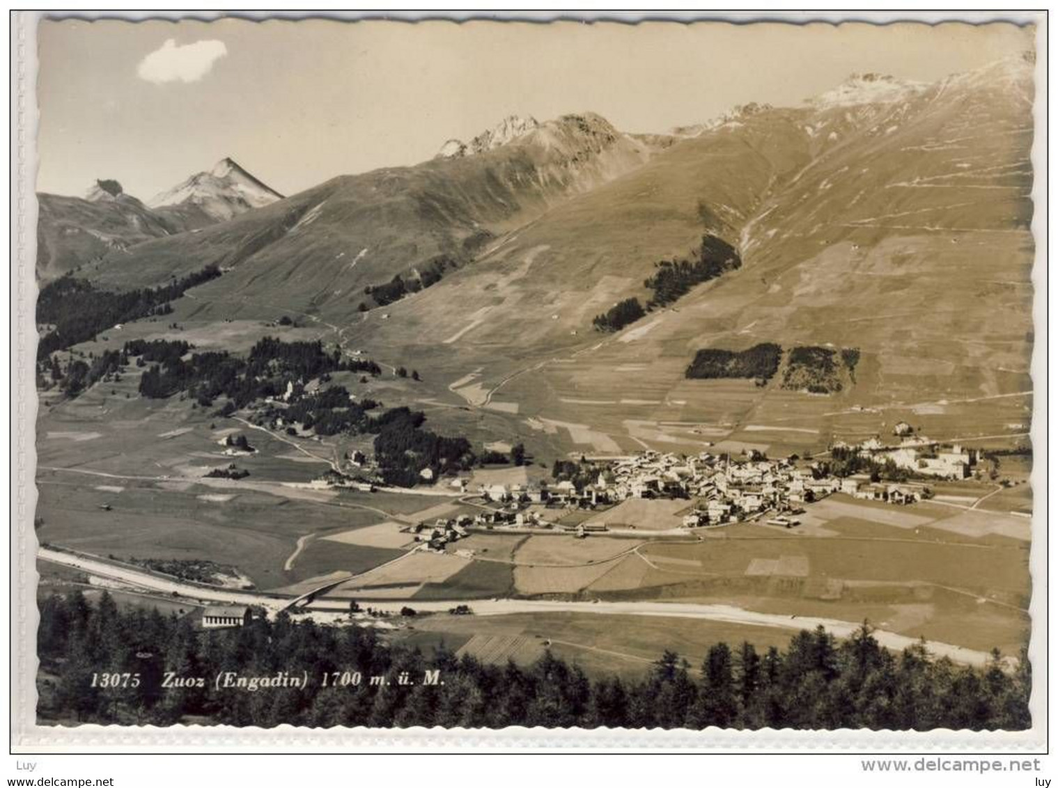 ZUOZ - Engadin - Luftbild, Flugaufnahme, Panorama - Zuoz