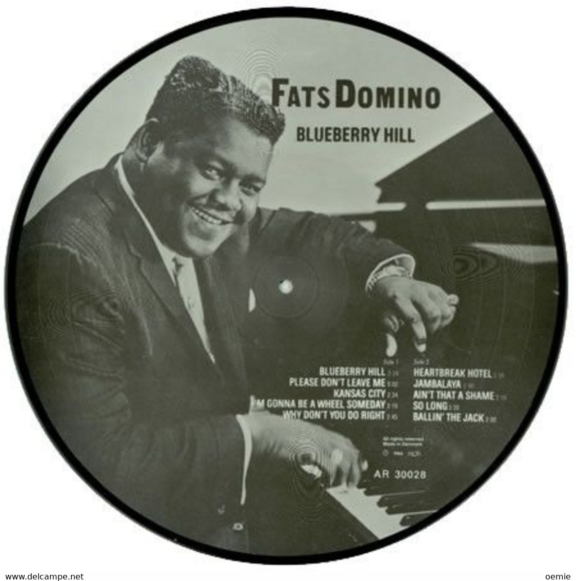 FATS  DOMINO °    SPECIAL  PICTURE  BLUEBERRY  HILL - Blues
