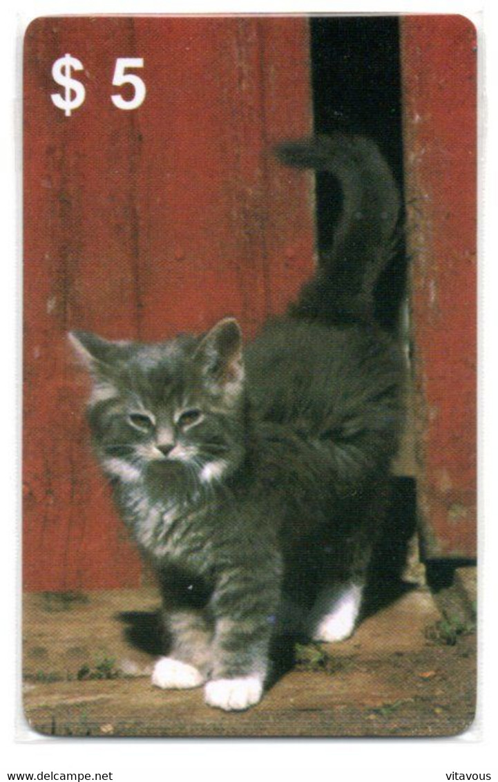 Chat Cat Katze Carte Prépayée Setcall USA Etats-Unis Card ( D 776) - Verzamelingen