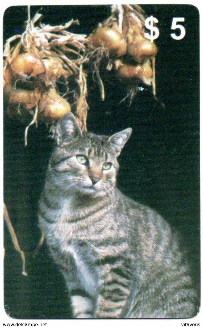 Chat Cat Katze Carte Prépayée Setcall USA Etats-Unis Card ( D 778) - Verzamelingen