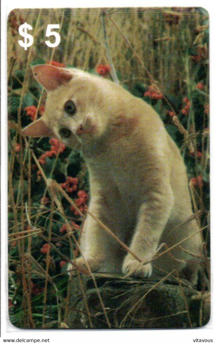 Chat Cat Katze Carte Prépayée Setcall USA Etats-Unis Card ( D 781) - Collections