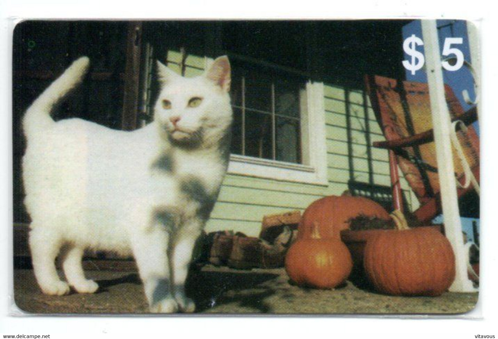 Chat Cat Katze Carte Prépayée Setcall USA Etats-Unis Card ( D 783) - Collections