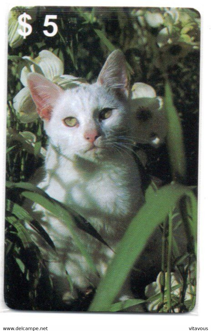 Chat Cat Katze Carte Prépayée Setcall USA Etats-Unis Card ( D 786) - [6] Collections