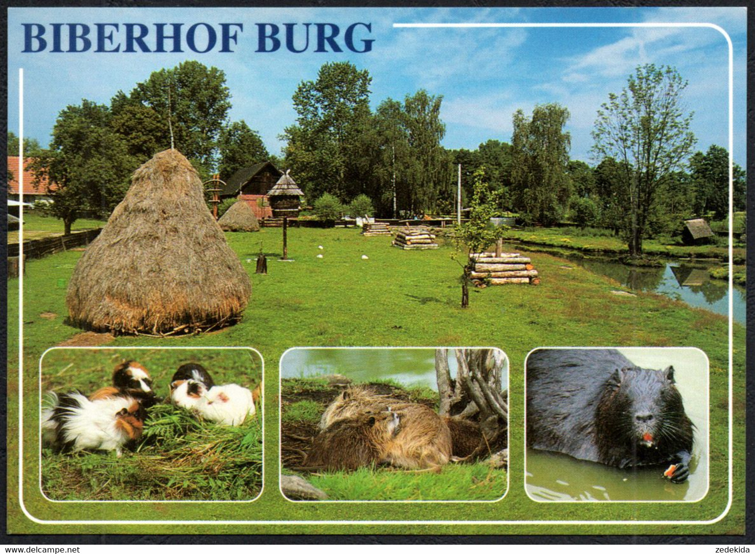 F8139 - TOP Burg Spreewald Biberhof Gaststätte - Verlag W.e.k.a. - Burg (Spreewald)