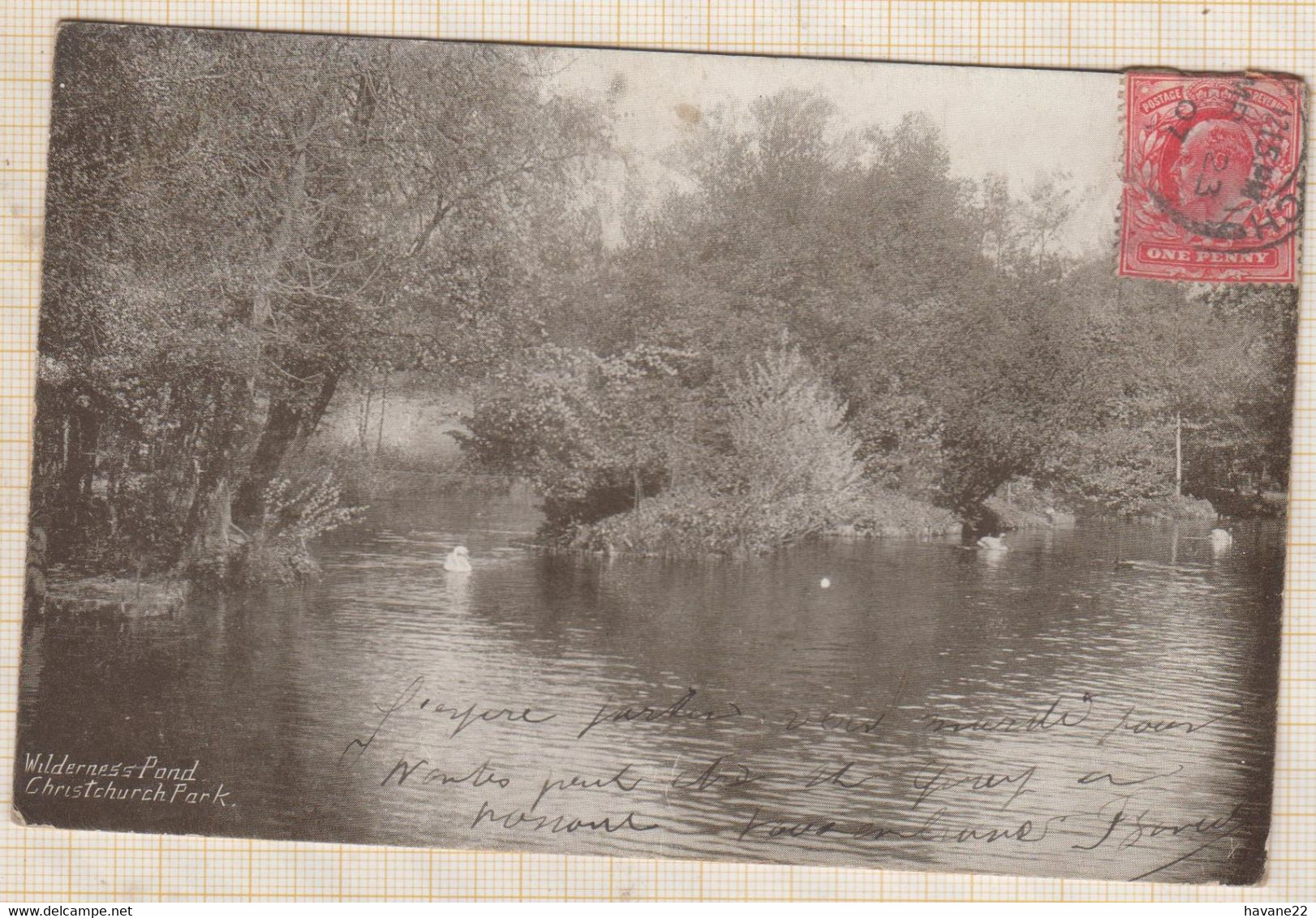 22C1277 CHRISTCHURCH PARK WILDERNESS POND - Ipswich