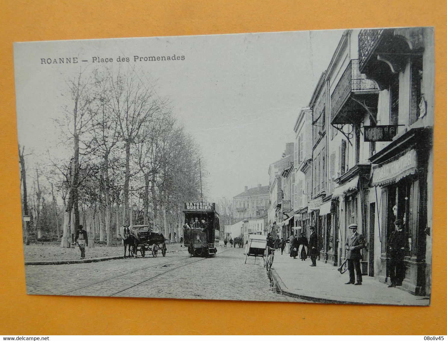 ROANNE -- Tramway Place Des Promenades - Attelage - ANIMATION - Tramways