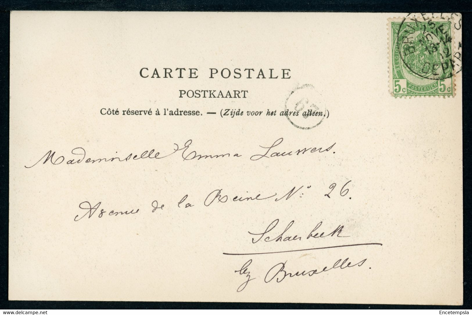 CPA - Carte Postale - Belgique - Bruxelles - Le Jardin Botanique - 1902 (CP20605) - Forêts, Parcs, Jardins