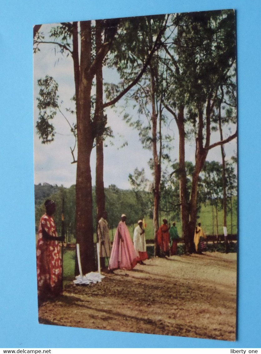 Lot De 4 CP / PK ( Cote D'Or ) Voyage / Reis Du ROI Au CONGO Belge KONING Zomer 1955 ( Voir / See Photo ) ! - Congo Belge