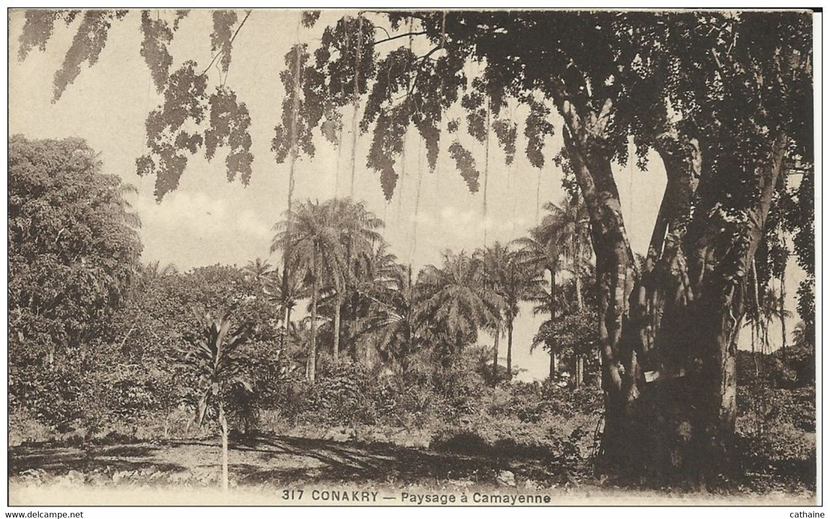 AFRIQUE . GUINEE . CONAKRY . PAYSAGE A CAMAYENNE - Guinée