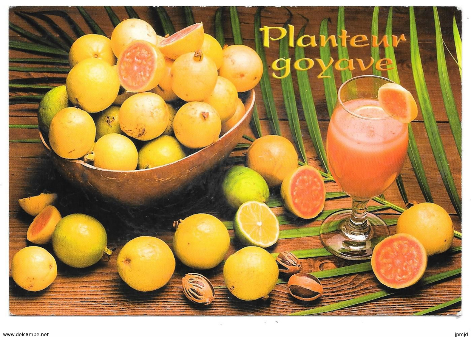 Planteur Goyave : Rhum Blanc, Sucre De Canne, Angustura, Muscade - Ed. Exbrayat - Format : 11.7 X 17 Cm - Cocktail - Recettes (cuisine)