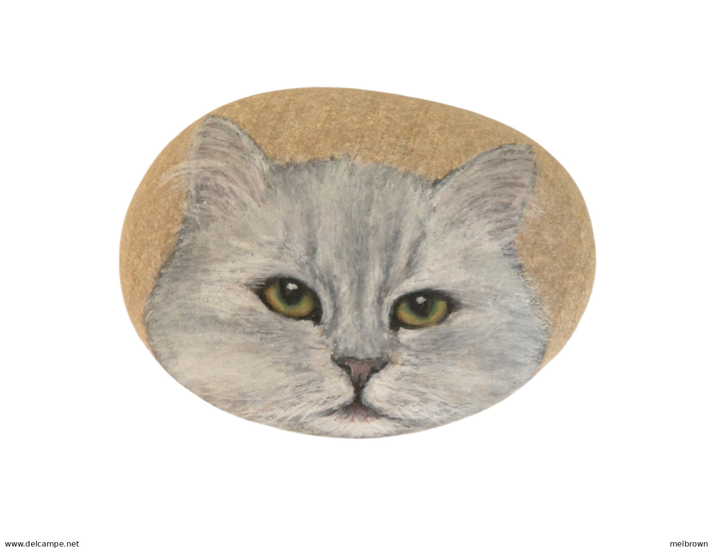 Chinchilla Cat Hand Painted On A Beach Stone Paperweight - Paper-weights