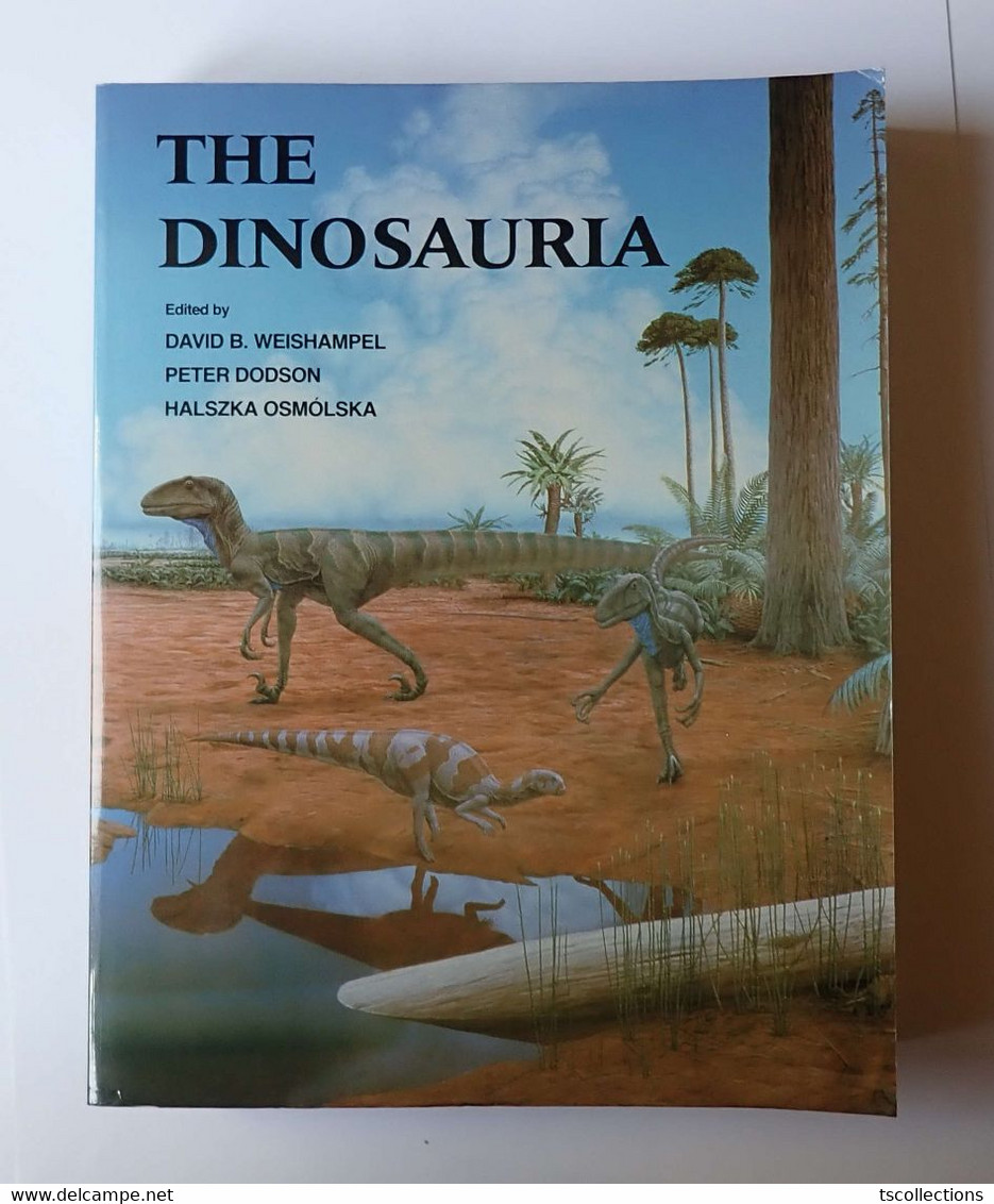 The Dinosauria - Other & Unclassified