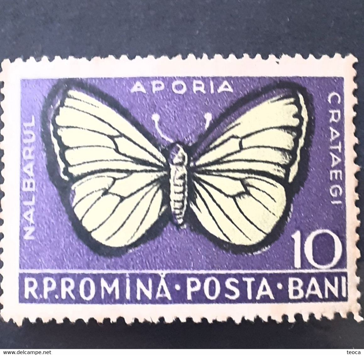 Errors Romanua 1956  # MI 1586 White Butterfly  Printed  With Move Moth Shifted To The Right Unused - Varietà & Curiosità