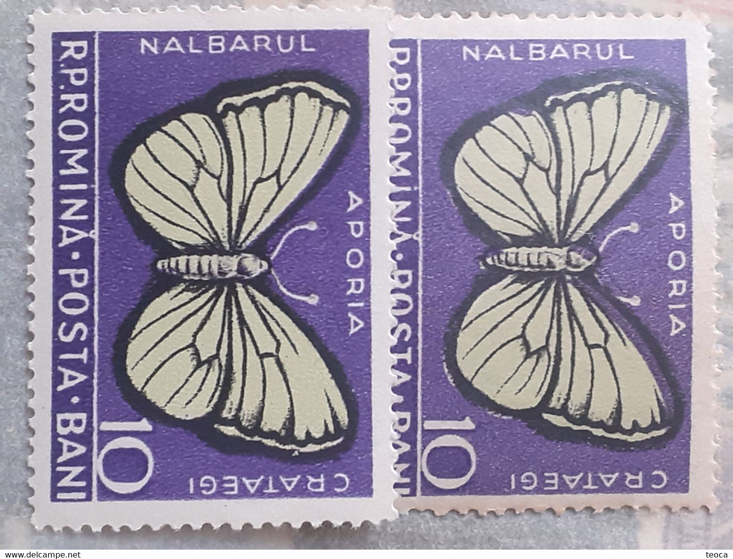 Errors Romanua 1956  # MI 1586 White Butterfly  Printed  With Move Moth Shifted To The Right Unused - Abarten Und Kuriositäten