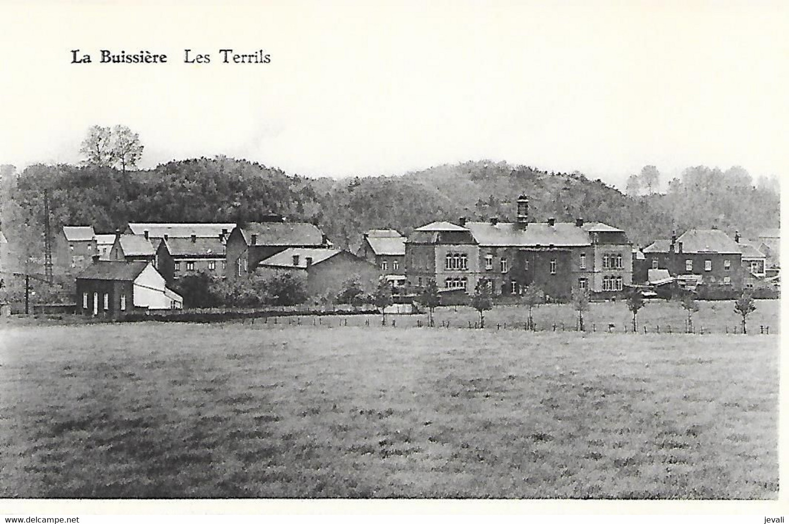 LA BUISSIÈRE    -  Les Terrils - Merbes-le-Chateau