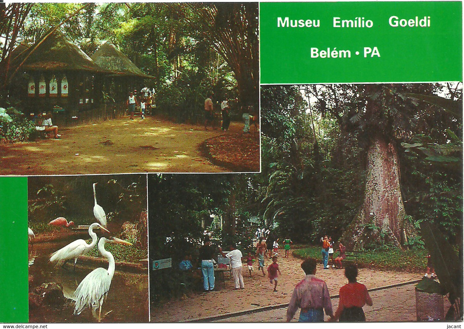 Brasil - Belem - Museu Emilio Goeldi - Belém