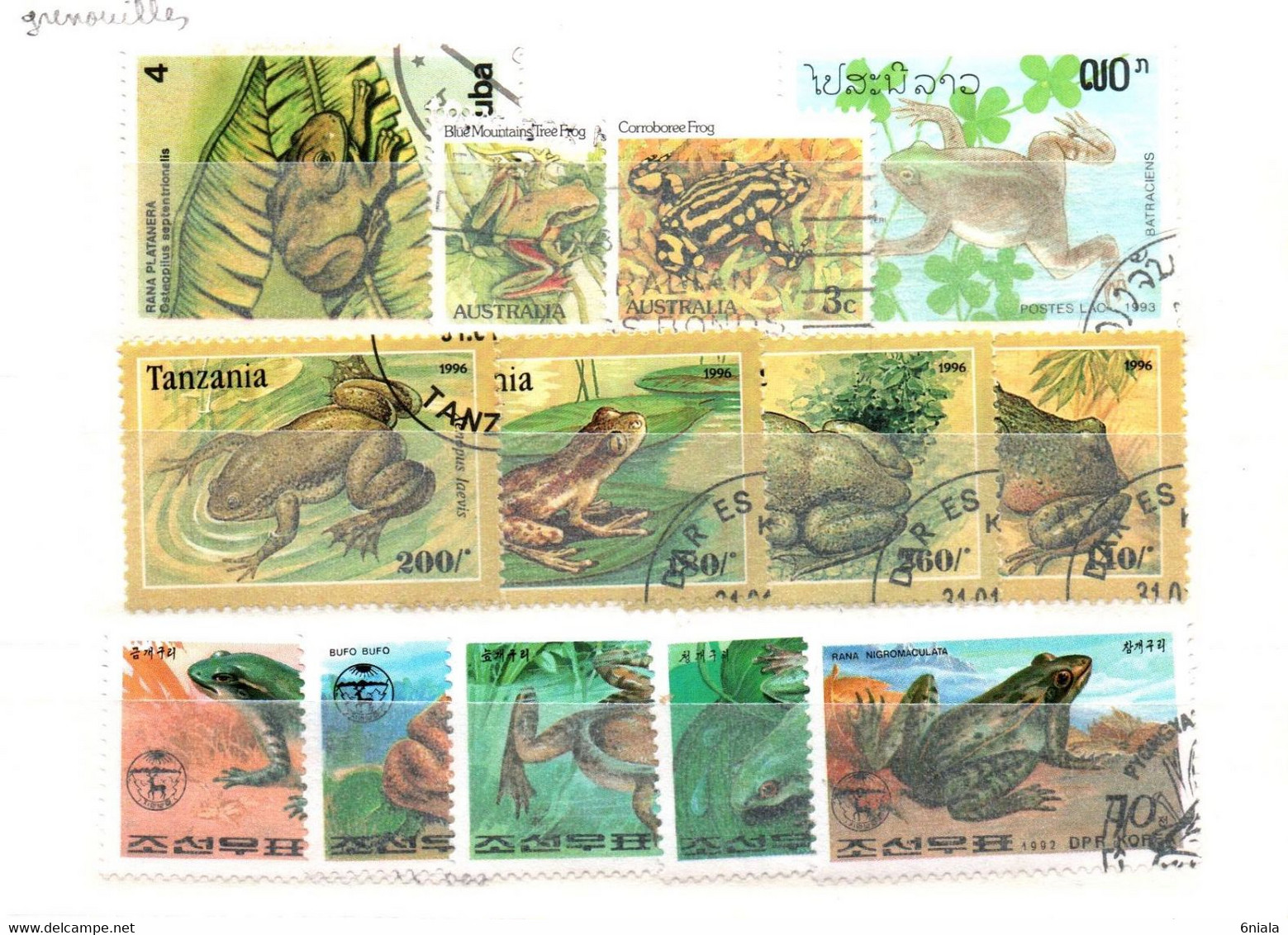 7606 LOT DE 13  TIMBRES    GRENOUILLE  Grenouilles  Batracien   Divers - Kikkers