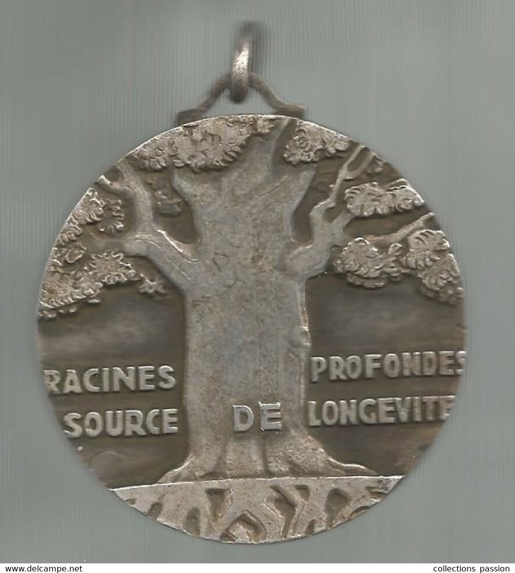 Médaille, Racines Profondes, Source De Longévité , Don De Drago, Alpes Maritimes , à Son Doyen , 2 Scans, Frais Fr 5.95e - Autres & Non Classés