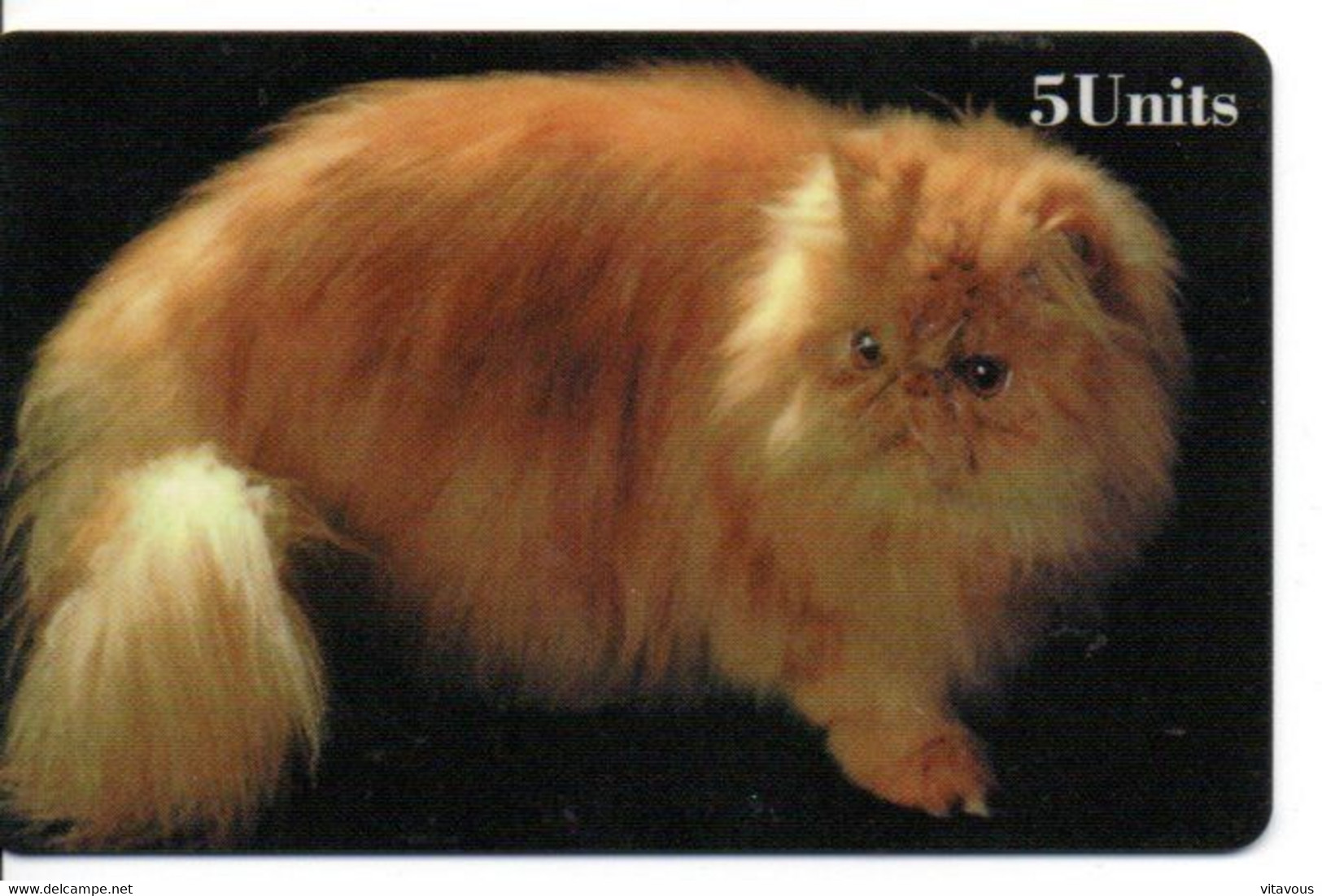 Chat Cat Katze Télécarte édition Limitée  Phonecard ( D 794) - Collections