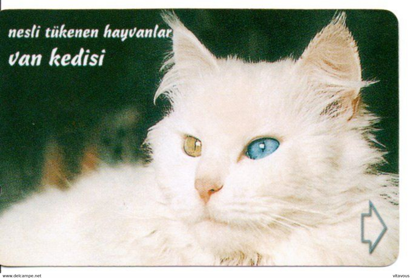 Chat Cat Katze Télécarte Turquie  Phonecard ( D 799) - Türkei