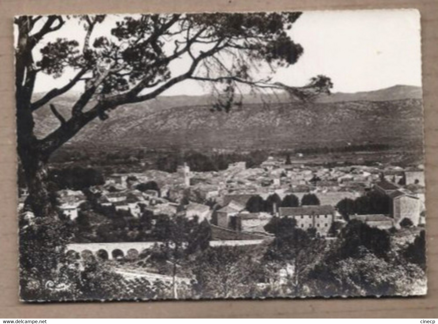 CPSM 34 - ANIANE - Vue Générale - TB PLAN D'ensemble Du Village Avec Détails Des Maisons - Aniane