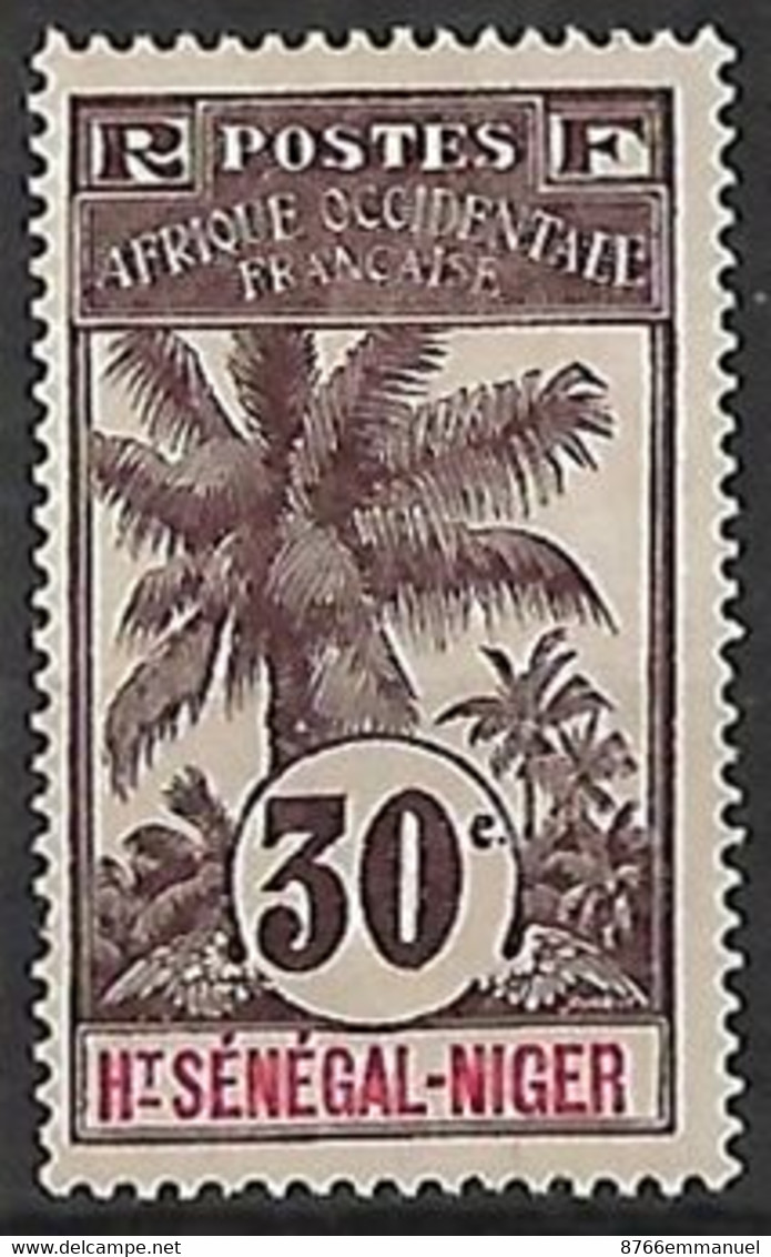 HAUT-SENEGAL-ET-NIGER N°9 NSG - Unused Stamps