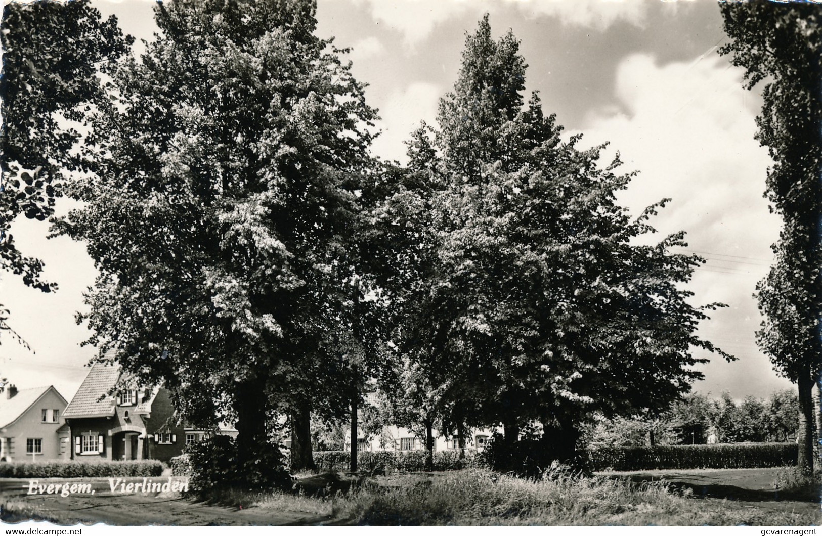 EVERGEM    VIERLINDEN    FOTOKAART     - 2 SCANS - Evergem