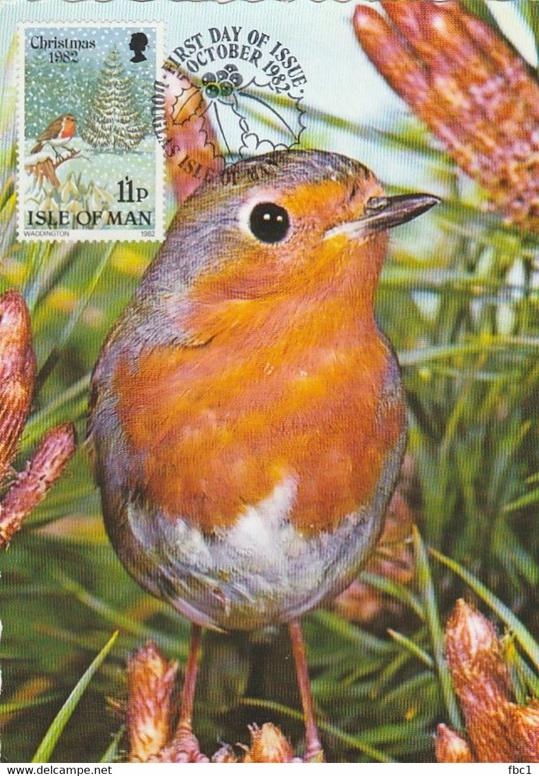 Carte Maximum - Oiseaux - Isle Of Man - Rouge-gorge - 1982 - Moineaux