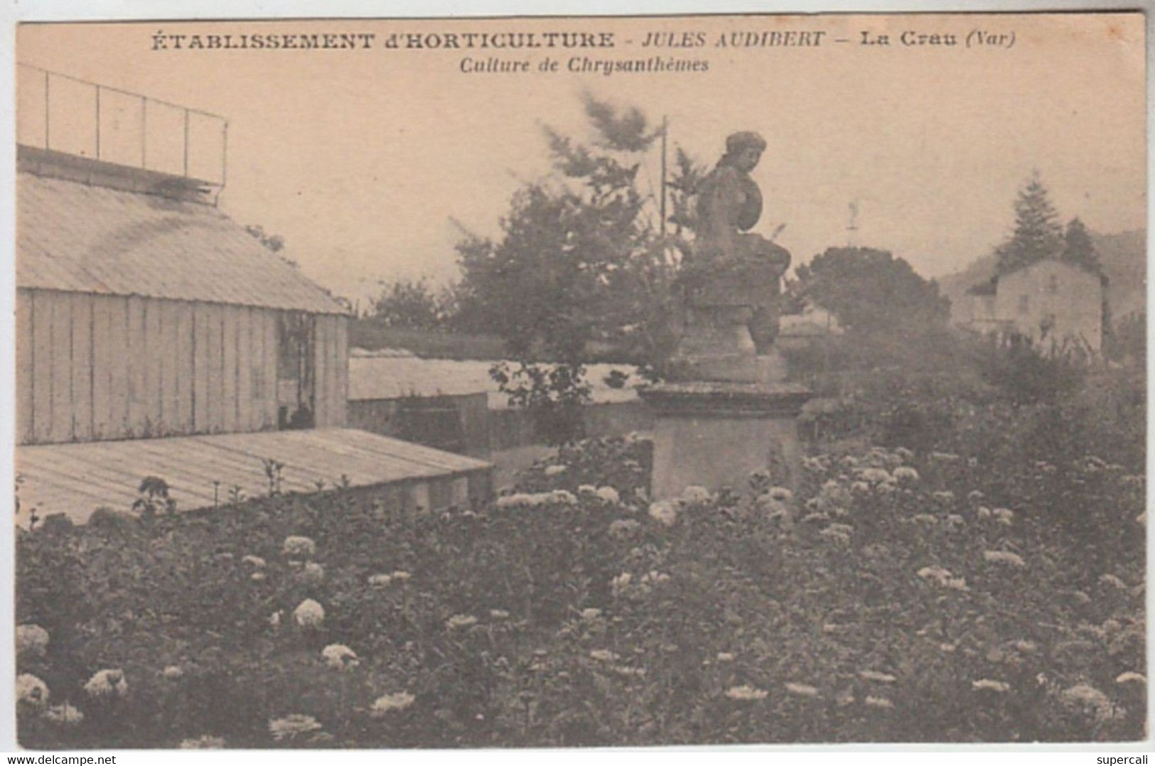 RT30.124 BIS  VAR.LA CRAU.ETABLISSEMENT D'HORTICULTURE JULES AUDIBERT.CULTURE DE CHRYSANTHEMES LEMAIRE Phot.HYERES - La Crau