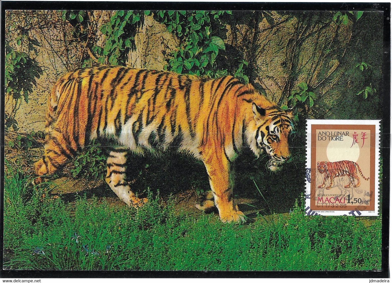 Macau Macao – 1986 Tiger Year Maximum Card - Storia Postale