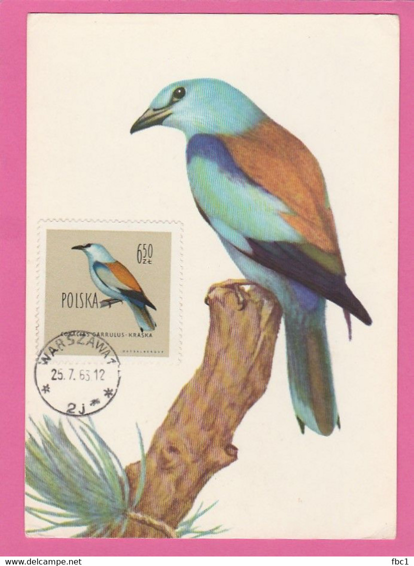 Carte Maximum - Oiseaux - Pologne - Rollier D'Europe - Coracias Garrulus 1963 - Maximumkaarten