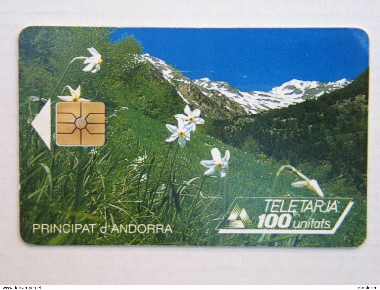 N°17 (17). Narcisses Blancs. MINT. - Andorra