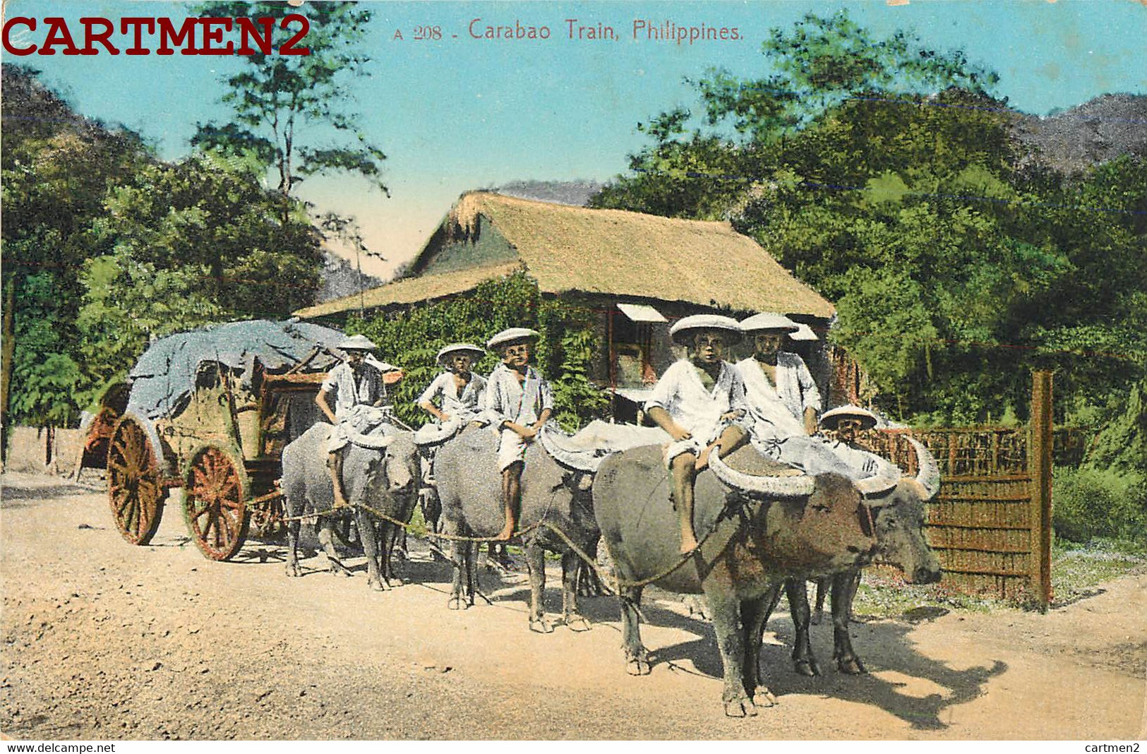 PHILIPPINES CARABAO TRAIN CART BUFFLE ATTELAGE PILIPINAS FILIPINAS MANILLA MANILLE FILIPINO MANILA ASIA - Philippines