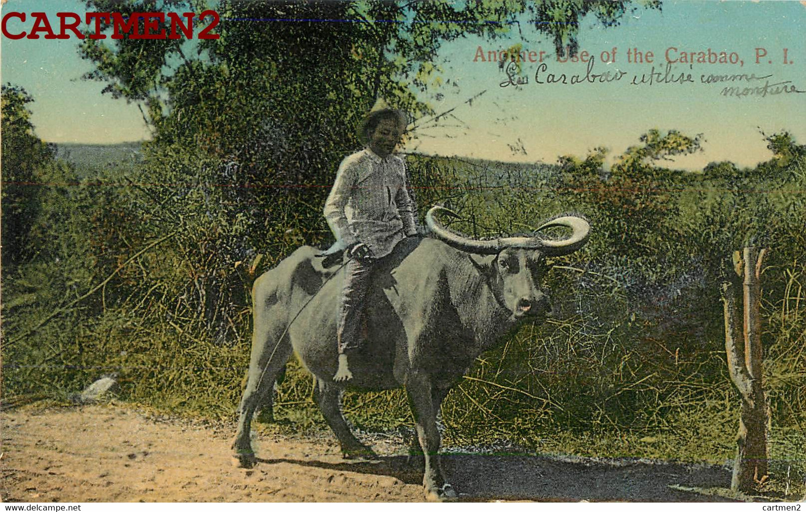 PHILIPPINES CARABAO BUFFLE ETHNIC ETHNOLOGIE FILIPINAS MANILLA MANILLE FILIPINO MANILA ASIA - Philippines