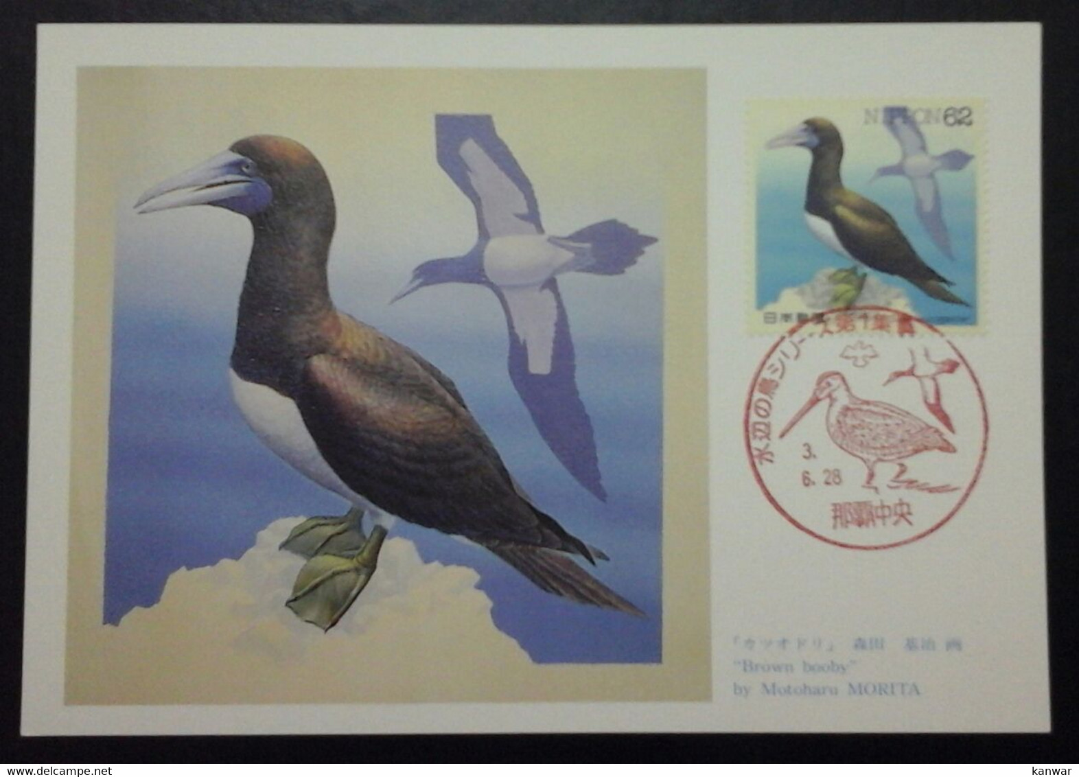 1991 JAPAN MAXIMUM CARD WITH 62 YEN POSTAGE STAMP AND CANCELLATION BIRDS AT WATER,S EDGE SERIES BROWN BOOBY - Cartas & Documentos