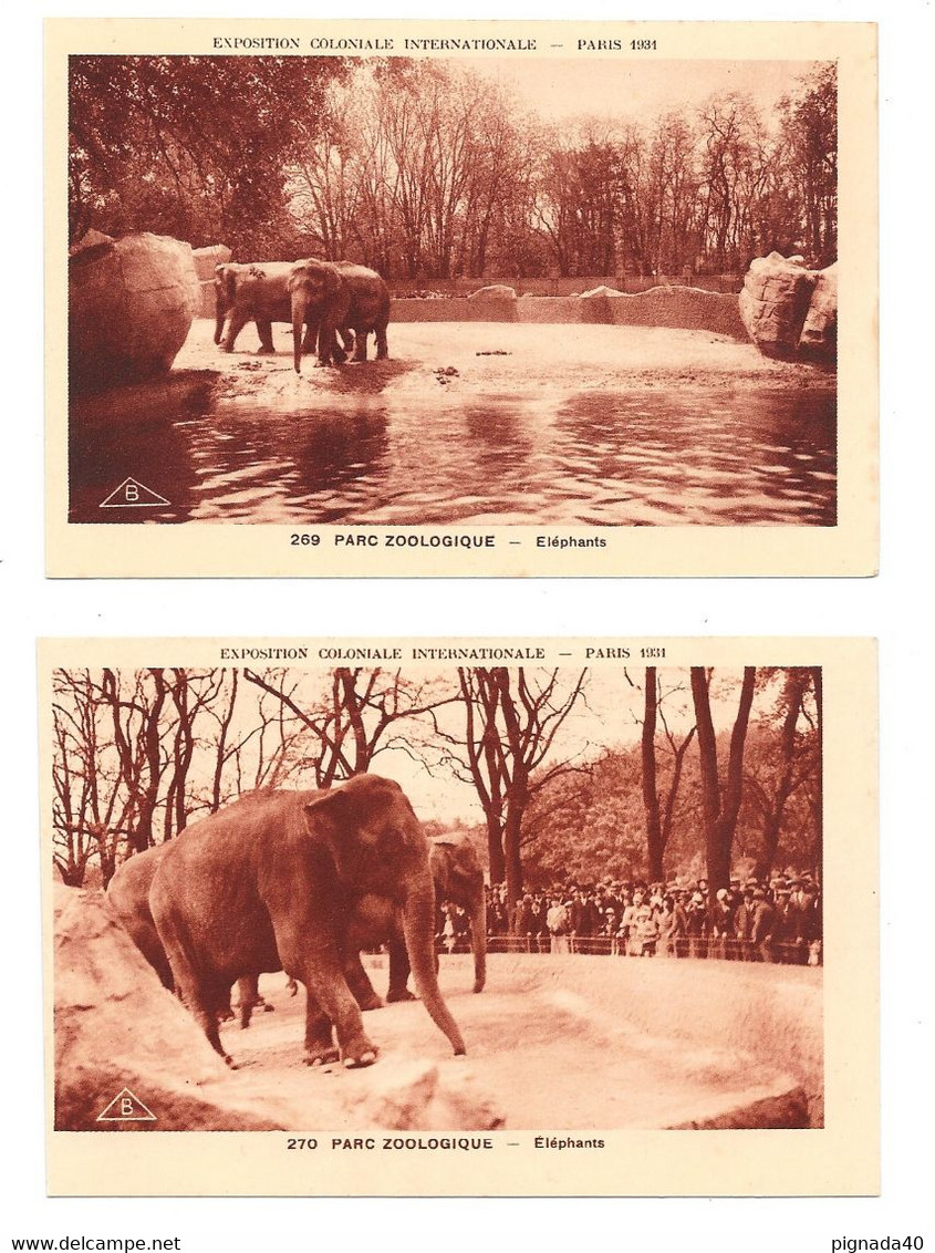 Cpa, Lot 2 Photos,  2 Scannes Plus Verso Publicité "jean Bart", Parc Zoologique, Eléphants, Belle Carte - Elephants