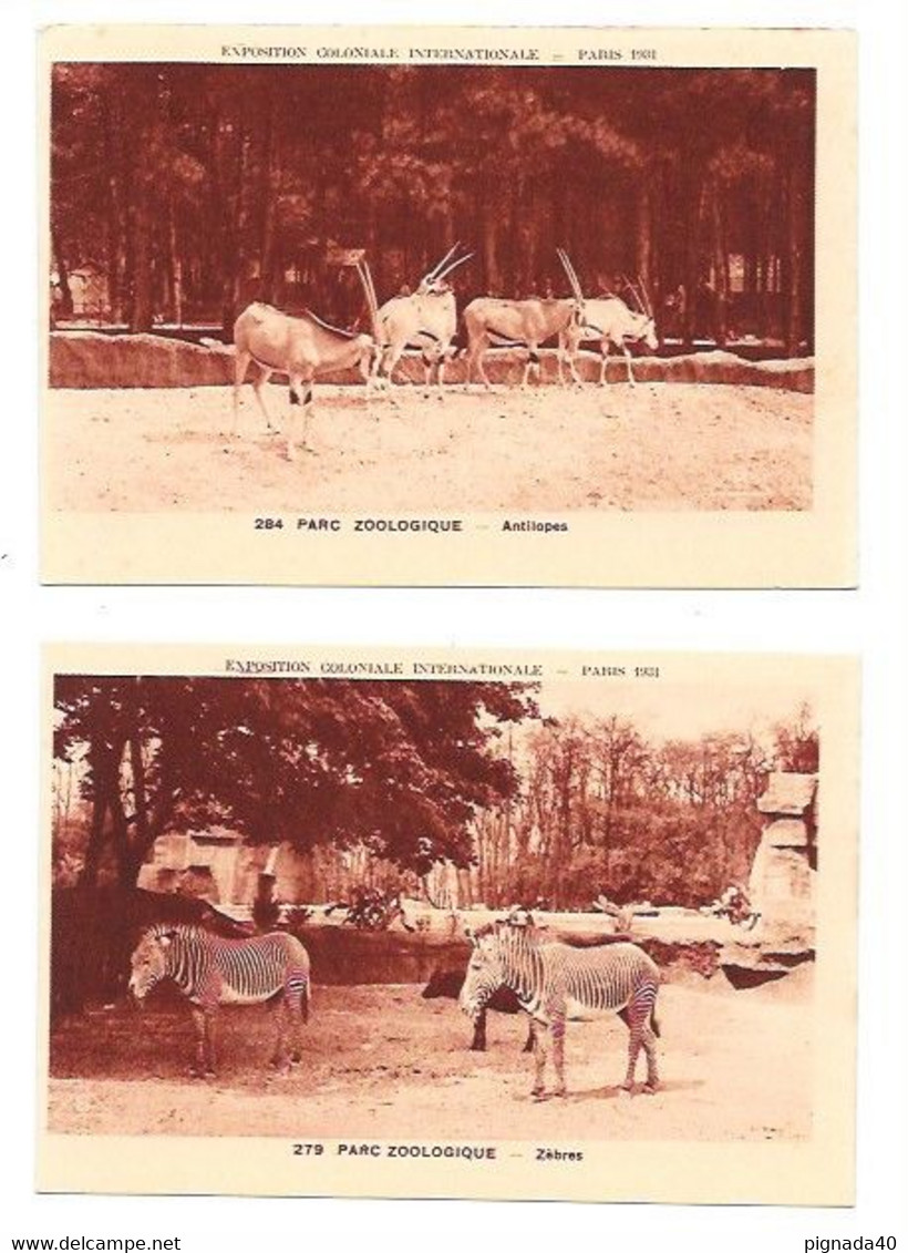 Cpa Lot 2 Cartes 2 Scannes Plus Verso Publicité "jean Bart" , Parc Zoologique, Zèbres Et Antilopes, Belle Carte - Zebre