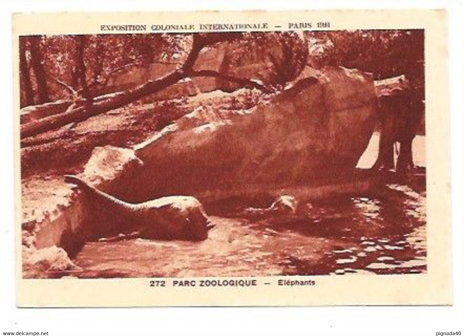Cpa  Eléphant,  Verso Publicité "jean Bart" , Parc Zoologique, Belle Carte - Zèbres