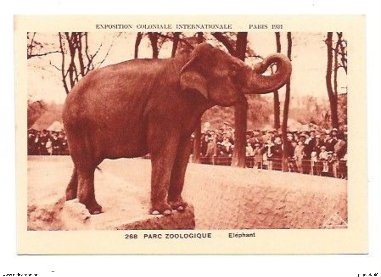 Cpa  Eléphant,  Verso Publicité "jean Bart" , Parc Zoologique, Belle Carte - Olifanten