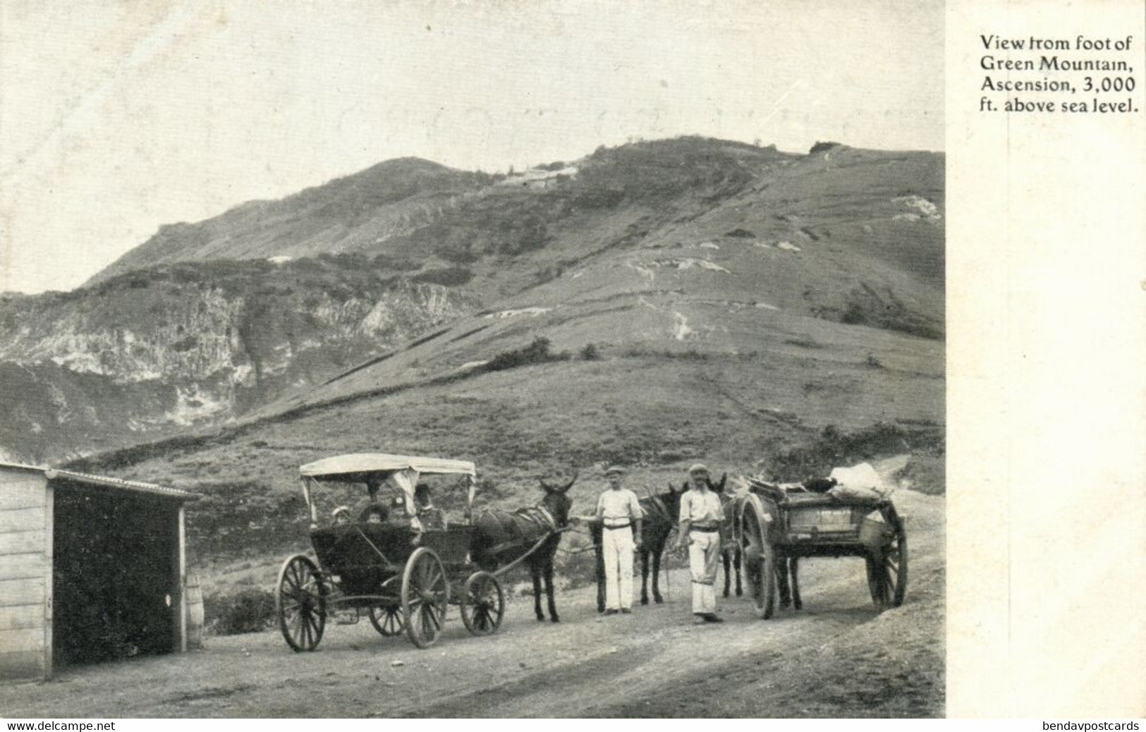 Ascension Island, View From Foot Of Green Mountain, Horse Cart (1900s) Postcard - Ascension (Ile)