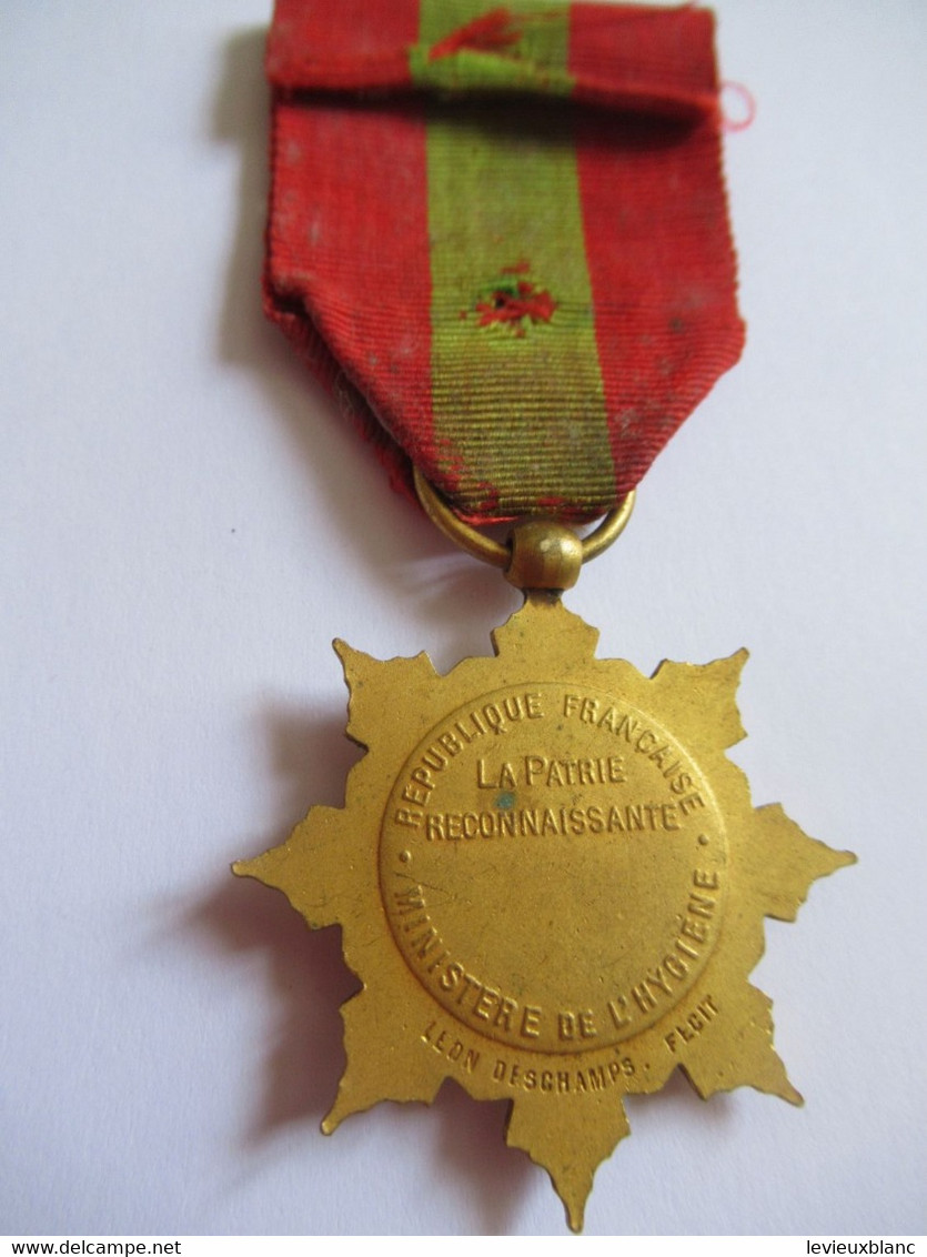 Médaille D'OR De La Famille Française/ RF / La Patrie Reconnaissante/ Ministère De L'Hygiène/Vers 1920-30        MED412 - Documents