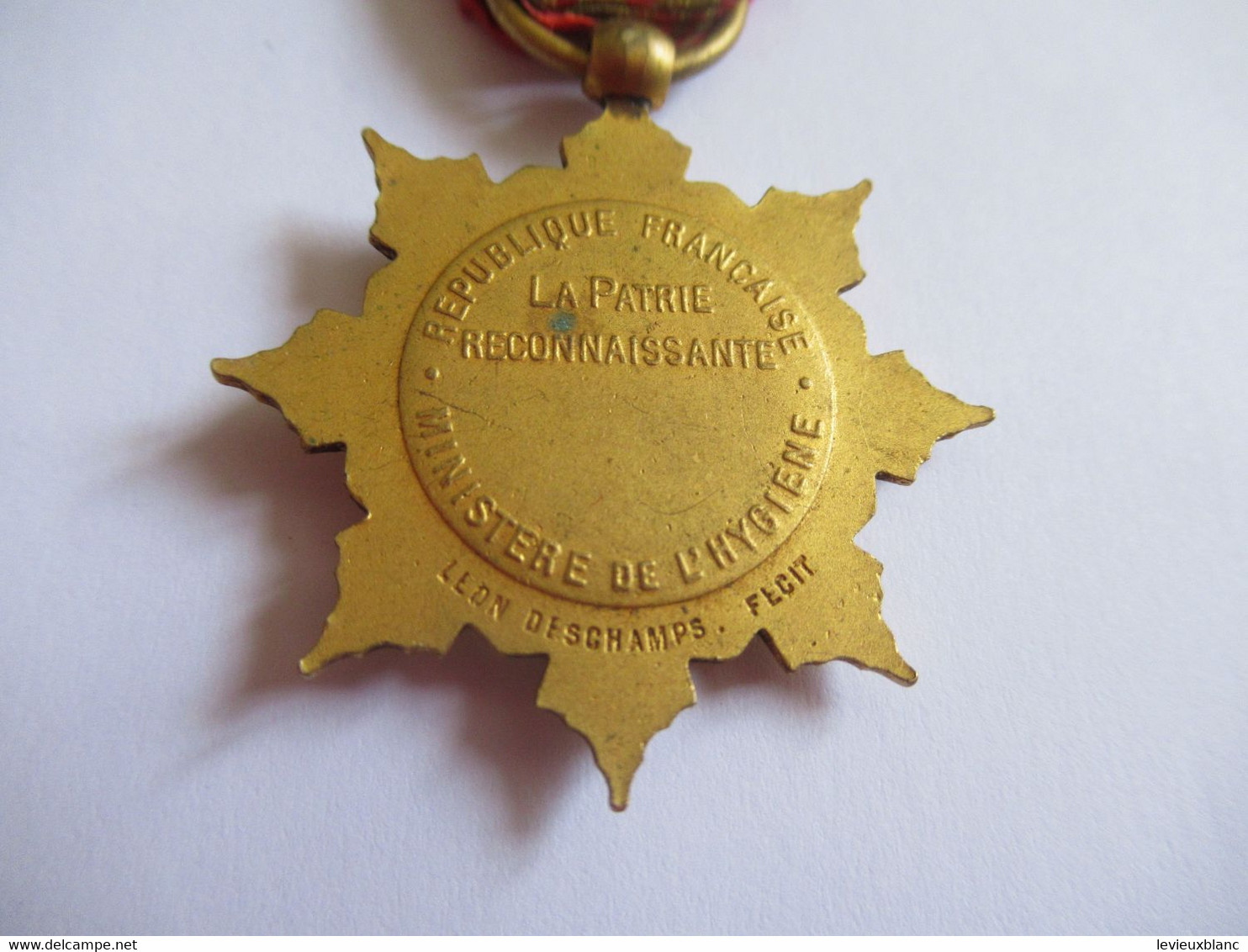 Médaille D'OR De La Famille Française/ RF / La Patrie Reconnaissante/ Ministère De L'Hygiène/Vers 1920-30        MED412 - Documents