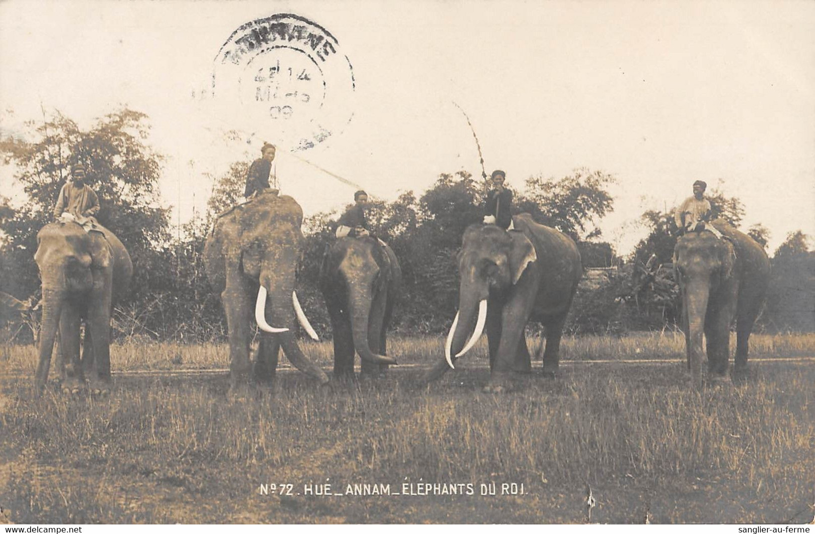 CPA ASIE HUE ANNAM ELEPHANTS DU ROI - Viêt-Nam