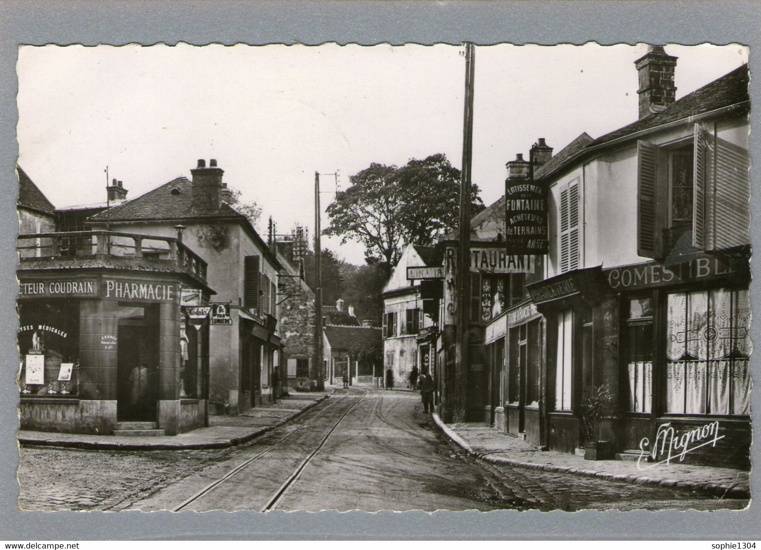 DAMMARIE-les-LYS - Rue De La Fontaine - (Pharmacie- Restaurant - Charcuterie .....) - 1954 - - Dammarie Les Lys