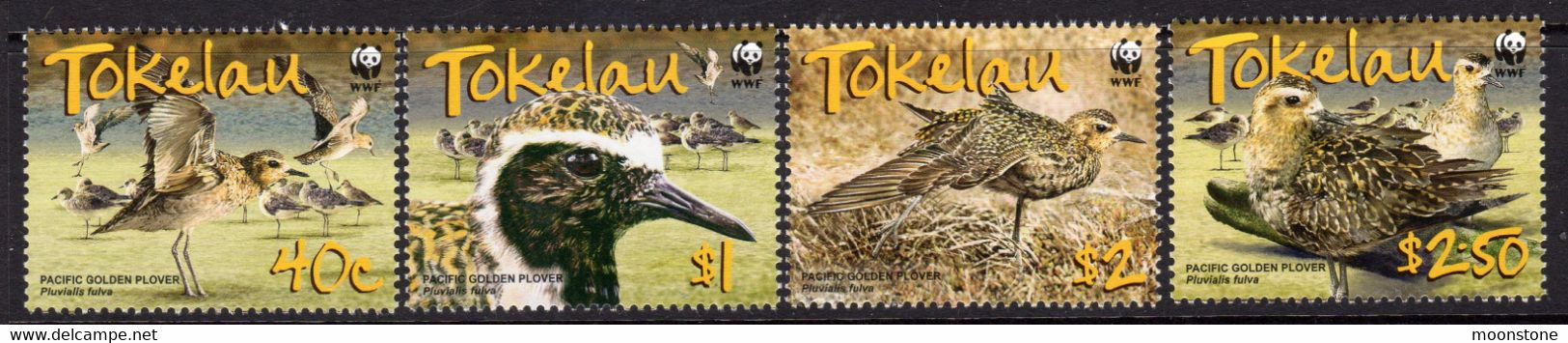 Tokelau 2007 Pacific Golden Plover Bird Set Of 4, MNH, SG 382/5 (BP2) - Tokelau
