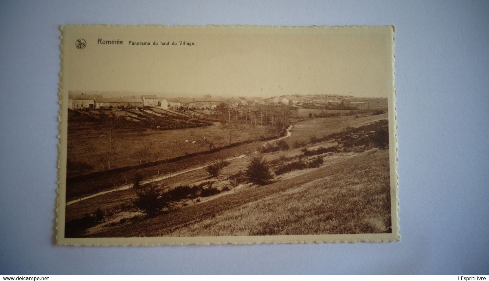 ROMEREE Panorama Du Haut Du Village  Commune De Doische Province Namur Belgique Carte Postale - Doische