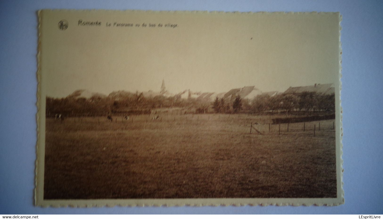 ROMEREE Le Panorama Du Bas Du Village  Commune De Doische Province Namur Belgique Carte Postale - Doische