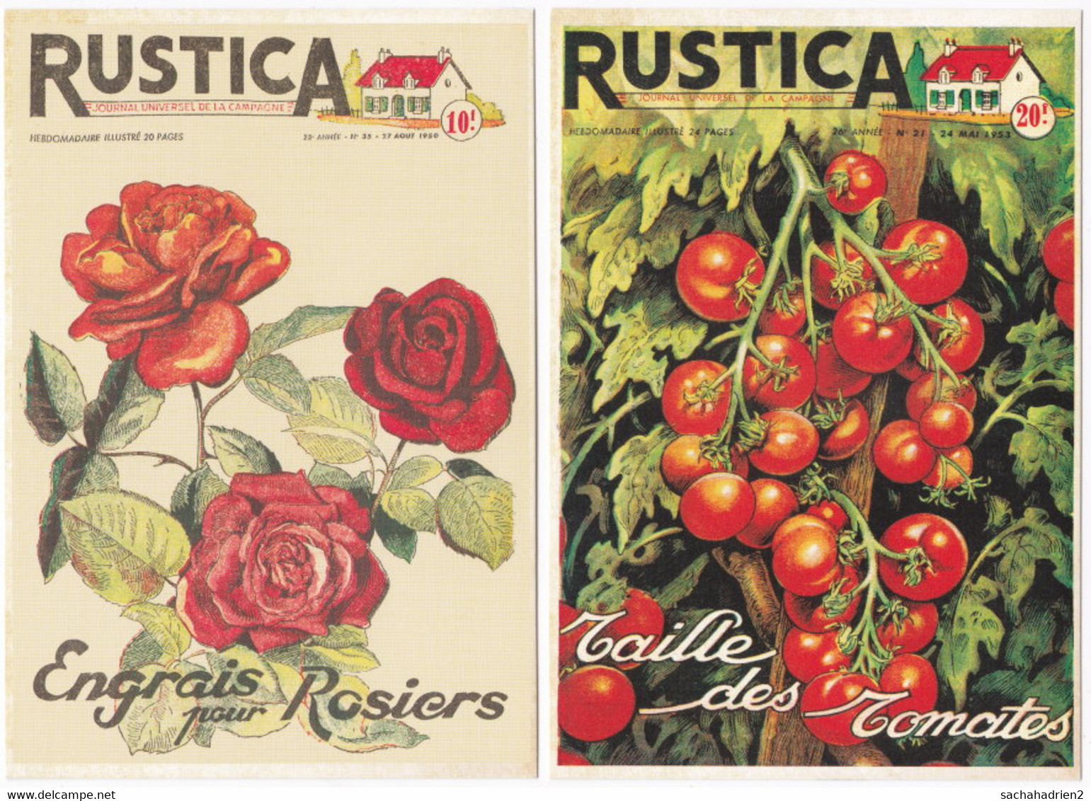 Gf. RUSTICA. Rosiers & Tomates. 2 Cartes - Otros & Sin Clasificación