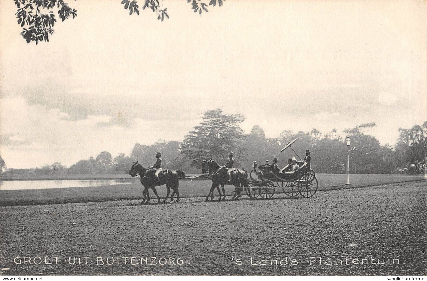 CPA INDONESIE GROET UIT BUITENZORG 'S LANDS PLANTENTUIN - Indonesien